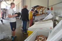 Zeeverse Vismarkt Harlingen van start