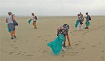 Strand Terschelling schoongemaakt