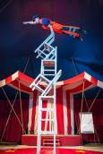 Circus Salto in Harlingen